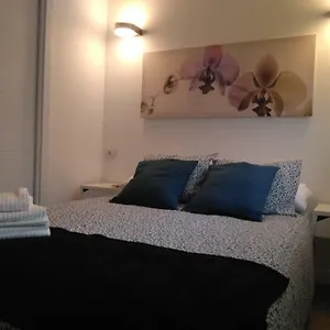 Ifae Appartement